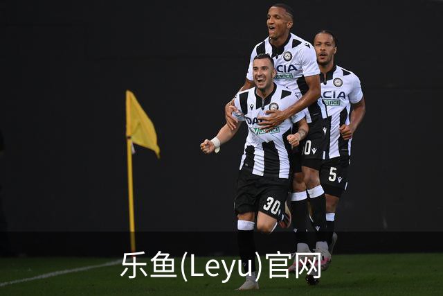 乐鱼(Leyu)官网公司简介图片